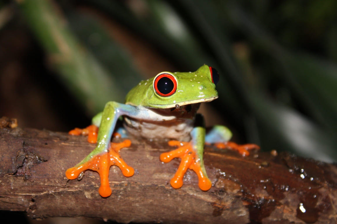あわしまマリンパーク