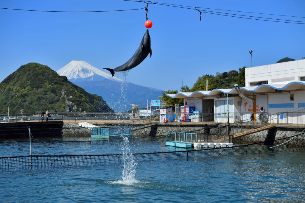 伊豆・三津シーパラダイス